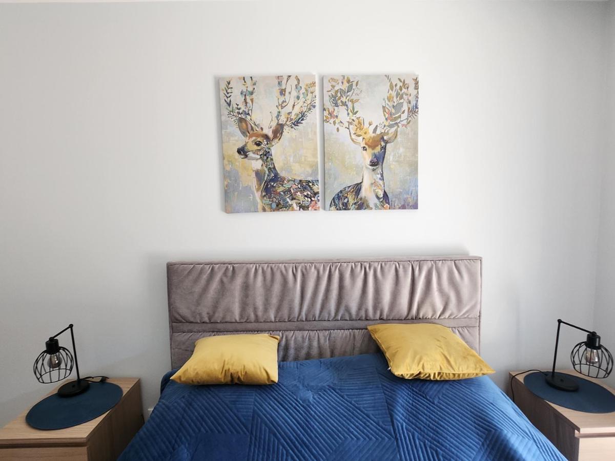 Dwa Jelonki, Ul Sciegiennego, Centrum, Garaz, Ogrodek Apartment Kielce