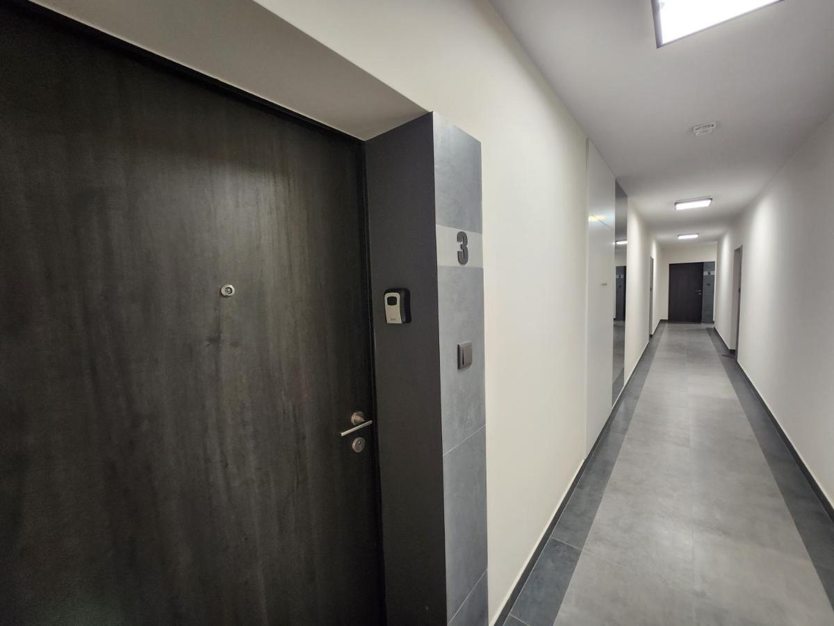 Dwa Jelonki, Ul Sciegiennego, Centrum, Garaz, Ogrodek * Kielce